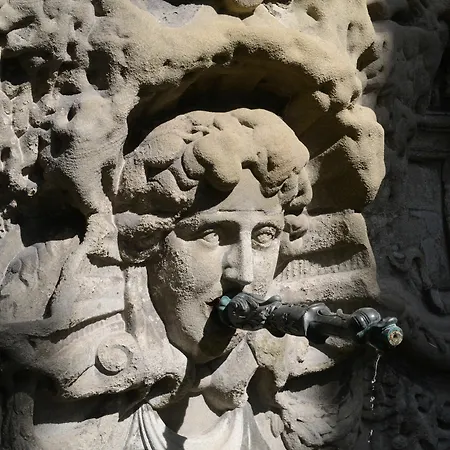 Ξενοδοχείο Florhof